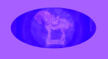 091106_antique_pottery_george_ohr_herschell_carousel_buffalo_political_memorabilia001013.jpg